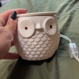 pink zebra simmer pot